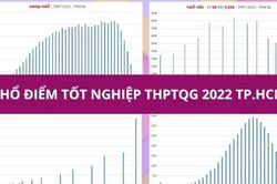 So điểm thi tốt nghiệp THPT của teen TP.HCM với cả nước: Môn nào vượt trội, môn nào thấp điểm hơn?