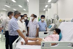 Bé trai 8 tuổi suy đa cơ quan, nguy kịch vì bị... muỗi đốt