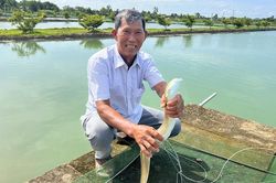 Bị vợ phản đối vẫn quyết làm: Cả tỉnh chưa ai dám thử, liều chơi lớn thu lãi tiền tỷ