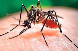 Ghi nhận hơn 124.000 ca mắc, 40 người tử vong do sốt xuất huyết