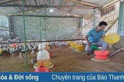 Thanh niên làm giàu nhờ mô hình trang trại tổng hợp