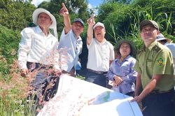 Mang Yang: Trồng mới hơn 2500 ha rừng