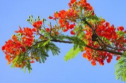 Hậu họp lớp!