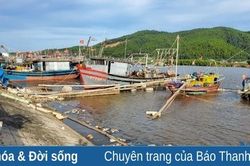 Giá xăng dầu giảm, chủ tàu vẫn lưỡng lự vươn khơi