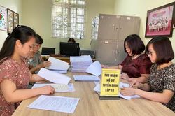 'Heo vàng' chen chân vào lớp 10