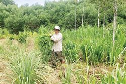 Chính trị - Xã hội 'Truyền lửa' cho thế hệ trẻ