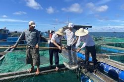 Bài cuối: Nguồn lực giúp ngư dân làm giàu