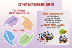 Chống thất thu thuế thương mại điện tử xuyên biên giới: Cần hơn nữa sự tự giác của người nộp thuế