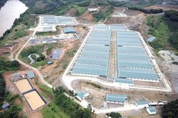 Yên Bái xử phạt doanh nghiệp gây ô nhiễm môi trường