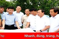 Chủ tịch UBND tỉnh kiểm tra việc giải phóng mặt bằng tại Việt Trì