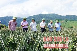 Thu hút đầu tư tạo động lực phát triển