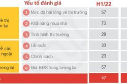 Chỉ số tâm lý người tiêu dùng bất động sản giảm so với đầu năm