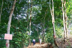 Thuộc quyền lợi của bà con, thì phải trả lại cho bà con