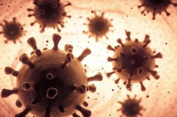 Mụn rộp ở mặt, một loại virus có thể 5.000 năm tuổi
