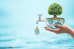 Dạy con ý thức bảo vệ môi trường qua các hoạt động hằng ngày