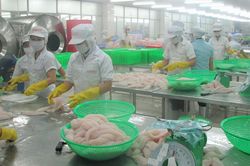 Kim ngạch xuất khẩu hàng hóa của Tiền Giang tăng gần 29%
