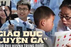 Giáo dục 'luyện gà' của phụ huynh Trung Quốc: Khiến con mất hết thanh xuân liệu có giúp chúng 'hóa phụng thành rồng'?