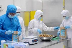 Sẽ miễn kiểm dịch nhiều động vật, sản phẩm động vật thủy sản nhập khẩu