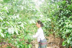 Làm thất bại âm mưu của các thế lực thù địch trong việc chia rẻ khối đại đoàn kết dân tộc