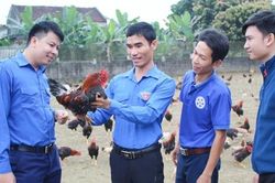 Nâng cao năng lực cạnh tranh khởi nghiệp cho thanh niên nông thôn