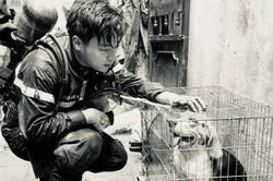 3 cán bộ, chiến sĩ phòng cháy chữa cháy hy sinh: Tên các anh khắc trong lòng người…