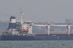 Khủng hoảng lương thực: Nút thắt Nga-Ukraine đã mở, một 'thử nghiệm' có khả năng thất bại?