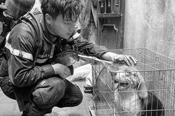 Dâng hiến tuổi thanh xuân vì bình yên cuộc sống