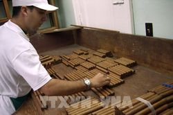 Sản lượng xì gà và thuốc lá của Cuba giảm mạnh