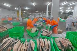 An Giang quản lý nuôi và chế biến thủy sản