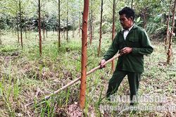 Nhiều lợi ích từ chính sách chi trả dịch vụ môi trường rừngTin khácThanh niên Lạng Sơn xung kích xây dựng nông thôn mơíNêu cao vai trò lãnh đạo công tác tư tưởng của Đảng trong giai đoạn mới