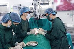 50% trường hợp vô sinh hiếm muộn là cặp vợ chồng dưới 30 tuổi
