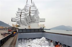Phát triển vùng nguyên liệu đạt chuẩn - giải pháp để gạo Việt chiếm lĩnh thị trường EU
