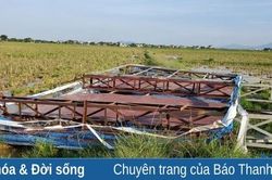 Biển quảng cáo đổ sập cạnh tuyến Quốc lộ 47