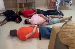 Chú chó của nhóm tội phạm không bảo vệ chủ mà nằm lăn ra chịu trận khi cảnh sát tới