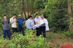 Thành lập Ban Chỉ đạo đầu tư xây dựng Dự án đường cao tốc Sơn La-Điện Biên-Cửa khẩu quốc tế Tây Trang