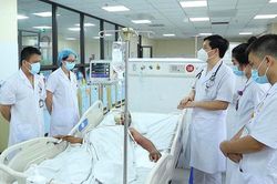Người đàn ông bị hoại tử, suy đa tạng sau đắp lá chữa rắn cắn