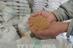 Giá lương thực thế giới rời xa mức kỷ lục trong tháng 3