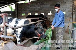 Chú trọng chăm sóc đàn vật nuôi mùa nắng nóngTin khácNgành ngân hàng: Ngăn chặn kịp thời hành vi lừa đảo chuyển tiền qua mạngKhơi dậy sức sáng tạo của đoàn viên công đoàn