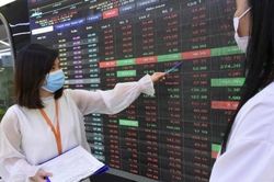 Chứng khoán Việt sẽ hưởng lợi từ sự tăng trưởng mạnh mẽ của kinh tế nội địa