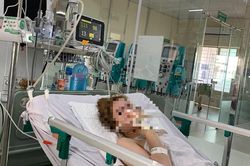 Sau buổi nhậu, 2 sinh viên tử vong, nhiều người nhập viện vì ngộ độc