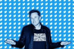 Elon Musk thách CEO Twitter cãi tay đôi