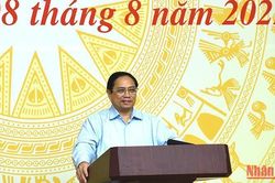 Thúc đẩy chuyển đổi số có trọng tâm, trọng điểm, thực chất và hiệu quả