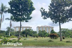 Lãnh đạo H.Nhơn Trạch chỉ đạo không tái diễn cắt điện chung cư nhà ở xã hội