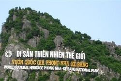 Khởi tố vụ án tại VQG Phong Nha - Kẻ Bàng