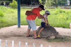 Nhóm khách ngồi lên rùa ở sở thú Long An