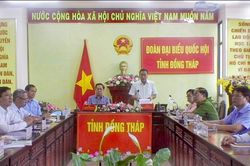 Chưa có doanh nghiệp đủ điều kiện làm cá cược thể thao nên chưa triển khai