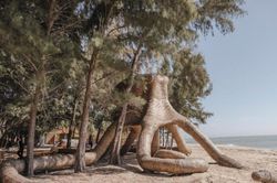 Ngôn ngữ của mây tre