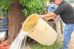 Ca mắc sốt xuất huyết ở Bình Dương tăng gấp 2 lần so với năm 2021