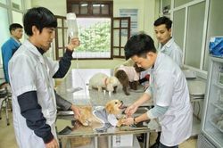 Nhóm ngành nào tỉ lệ sinh viên có việc làm sau tốt nghiệp cao nhất?