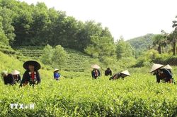 Bảo tồn văn hóa dân tộc Sán Chay gắn với phát triển du lịch cộng đồng